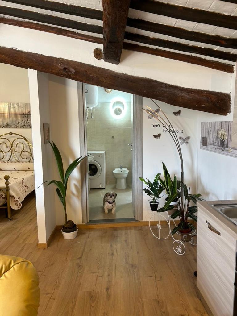 Bagnoregio Apartment You&Me Esterno foto